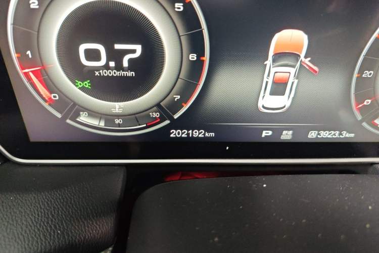 Used Hongqi HS5 2019 2.0T Smart Connect Flagship All-Wheel-Drive Version Odometer Close Up
