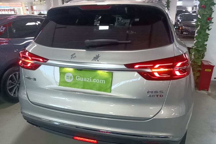 Used Hongqi HS5 2019 2.0T Smart Connect Flagship Edition Rear