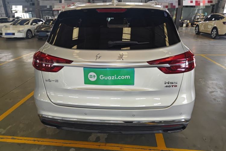 Used Hongqi HS5 2019 2.0T Smart Connect Flagship Edition Rear