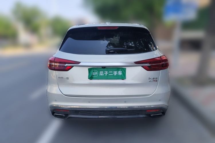 Used Hongqi HS5 2019 2.0T Smart Connect Flagship All-Wheel-Drive Version Rear