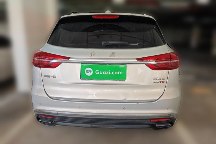 Used Hongqi HS5 2019 2.0T Smart Connect Flagship Edition Rear