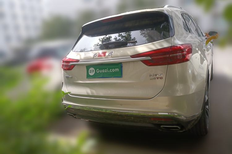 Used Hongqi HS5 2019 2.0T Smart Connect Flagship Edition Rear