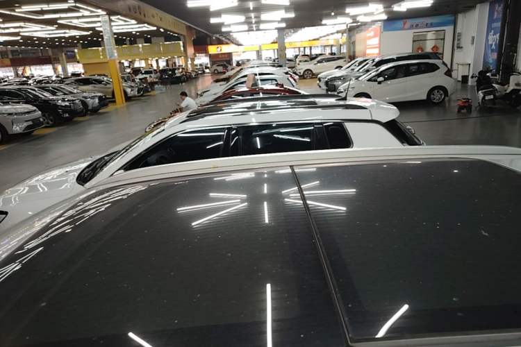 Used Hongqi HS5 2019 2.0T Smart Connect Flagship All-Wheel-Drive Version Roof