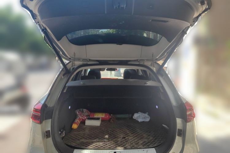 Used Hongqi HS5 2019 2.0T Smart Connect Flagship All-Wheel-Drive Version Trunk