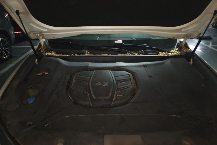 Used Hongqi HS5 2019 2.0T Smart Connect Flagship Edition Engine Bay