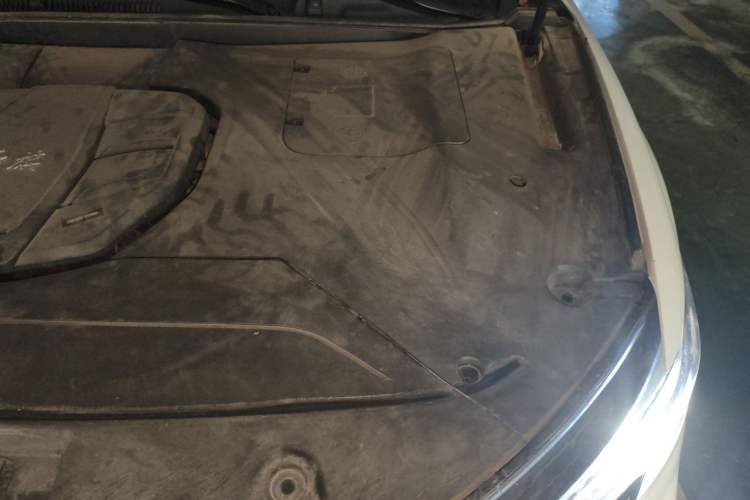 Used Hongqi HS5 2019 2.0T Smart Connect Flagship All-Wheel-Drive Version Engine Bay Left
