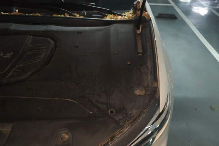 Used Hongqi HS5 2019 2.0T Smart Connect Flagship Edition Engine Bay Left