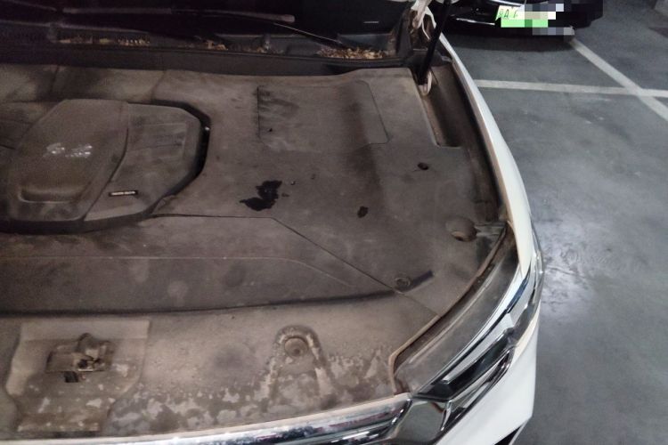 Used Hongqi HS5 2019 2.0T Smart Connect Flagship Edition Engine Bay Left