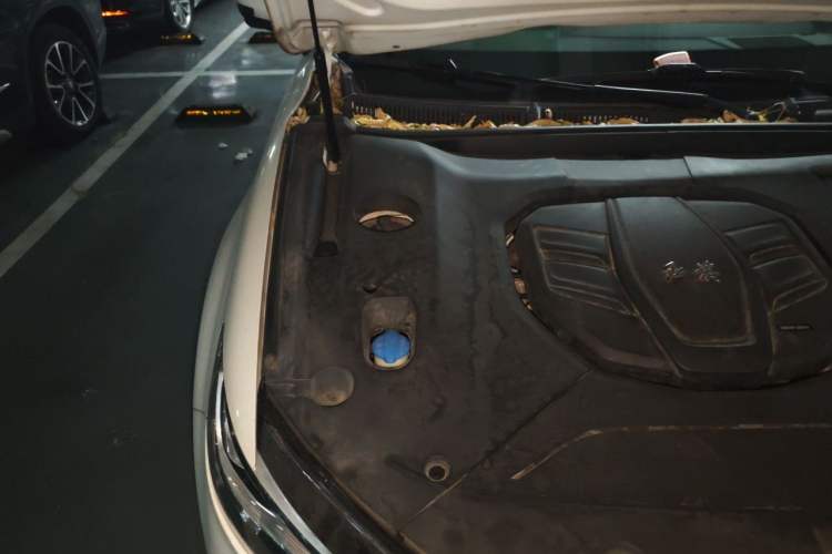 Used Hongqi HS5 2019 2.0T Smart Connect Flagship Edition Engine Bay Right