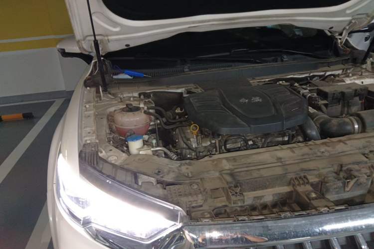 Used Hongqi HS5 2019 2.0T Smart Connect Flagship Edition Engine Bay Right