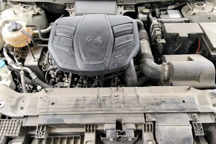 Used Hongqi HS5 2019 2.0T Smart Connect Flagship Edition Engine Bay