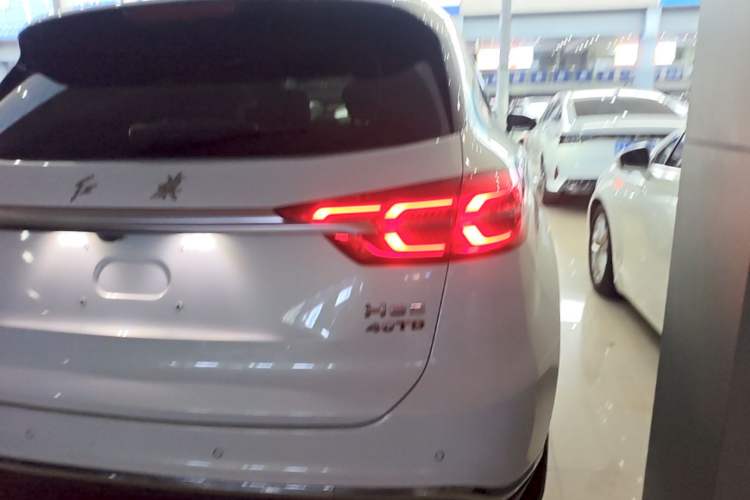 Used Hongqi HS5 2019 2.0T Smart Connect Flagship Edition Exterior 3