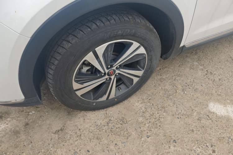 Used Hongqi HS5 2019 2.0T Smart Connect Flagship Edition Exterior 4