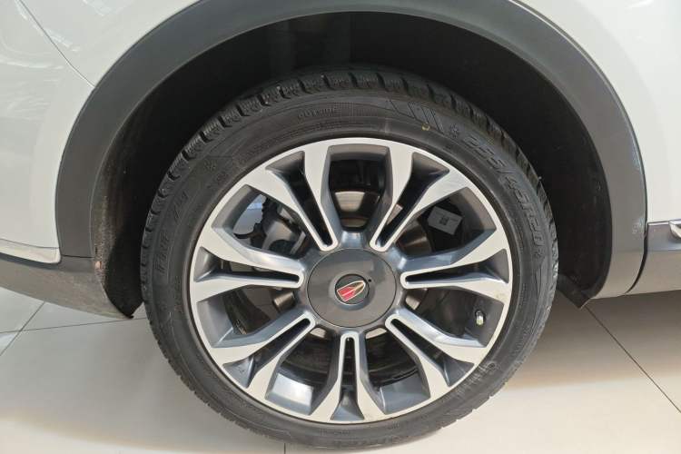 Used Hongqi HS5 2019 2.0T Smart Connect Flagship All-Wheel-Drive Version Exterior 5