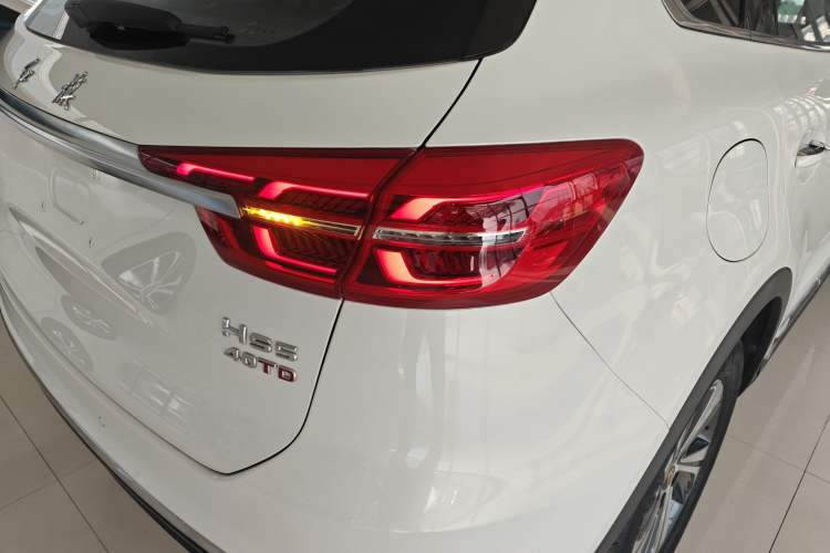 Used Hongqi HS5 2019 2.0T Smart Connect Flagship Edition Exterior 6