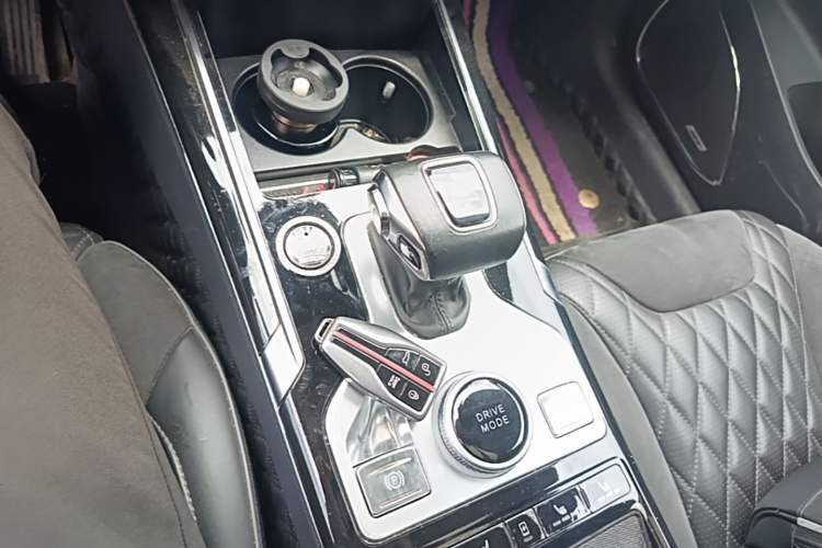 Used Hongqi HS5 2019 2.0T Smart Connect Flagship All-Wheel-Drive Version Gear Lever