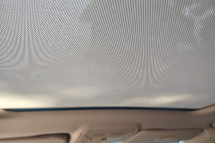 Used Hongqi HS5 2019 2.0T Smart Connect Flagship Edition Headliner