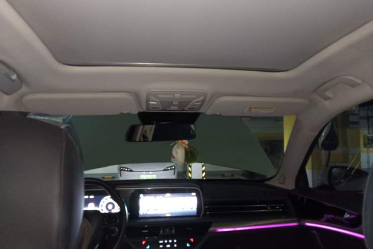 Used Hongqi HS5 2019 2.0T Smart Connect Flagship Edition Headliner