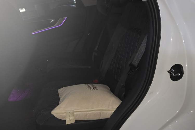 Used Hongqi HS5 2019 2.0T Smart Connect Flagship Edition Left Rear Seat