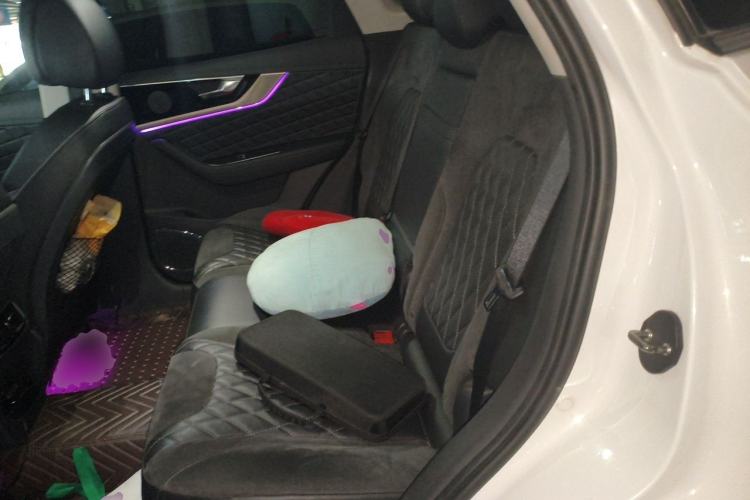 Used Hongqi HS5 2019 2.0T Smart Connect Flagship All-Wheel-Drive Version Left Rear Seat