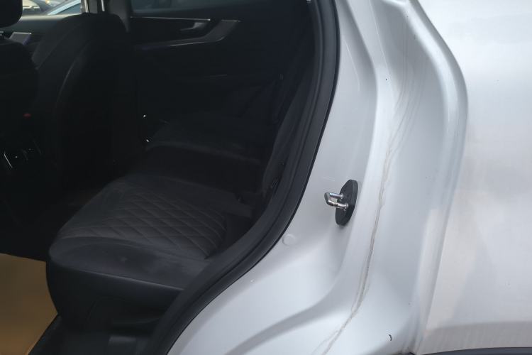 Used Hongqi HS5 2019 2.0T Smart Connect Flagship All-Wheel-Drive Version Left Rear Seat