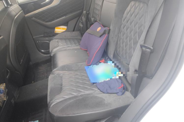 Used Hongqi HS5 2019 2.0T Smart Connect Flagship Edition Left Rear Seat