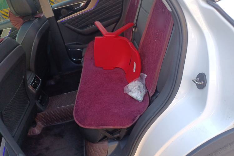 Used Hongqi HS5 2019 2.0T Smart Connect Flagship Edition Left Rear Seat
