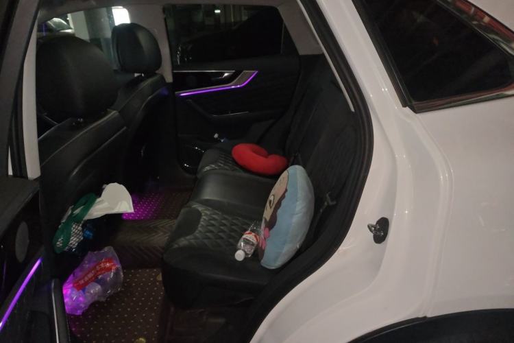 Used Hongqi HS5 2019 2.0T Smart Connect Flagship All-Wheel-Drive Version Left Rear Seat
