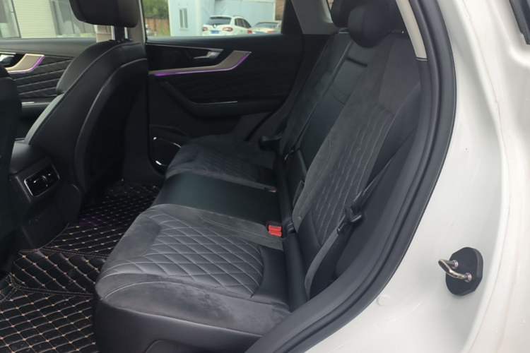 Used Hongqi HS5 2019 2.0T Smart Connect Flagship Edition Left Rear Seat