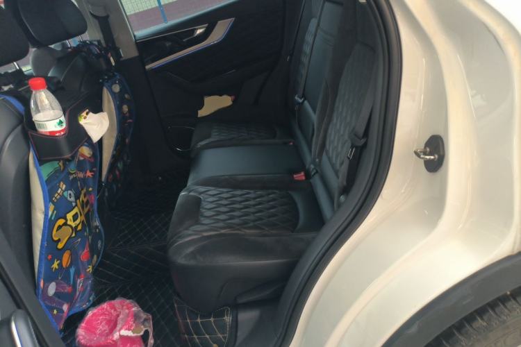 Used Hongqi HS5 2019 2.0T Smart Connect Flagship Edition Left Rear Seat