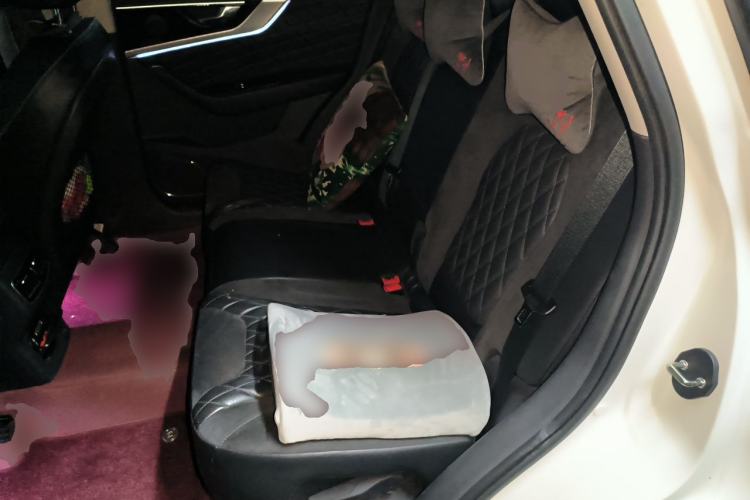 Used Hongqi HS5 2019 2.0T Smart Connect Flagship Edition Left Rear Seat