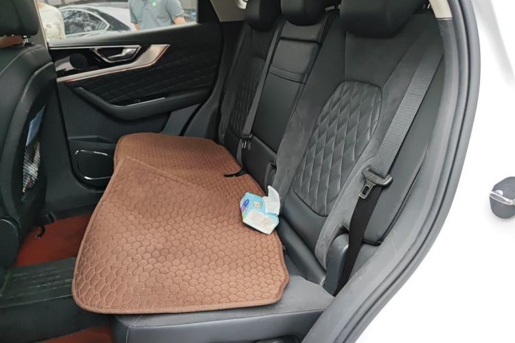 Used Hongqi HS5 2019 2.0T Smart Connect Flagship Edition Left Rear Seat