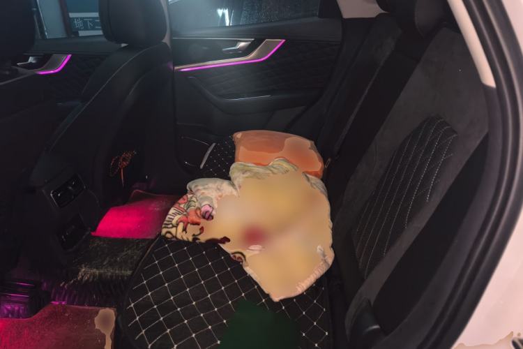 Used Hongqi HS5 2019 2.0T Smart Connect Flagship Edition Left Rear Seat