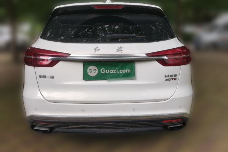 Used Hongqi HS5 2019 2.0T Smart Connect Flagship Edition Rear
