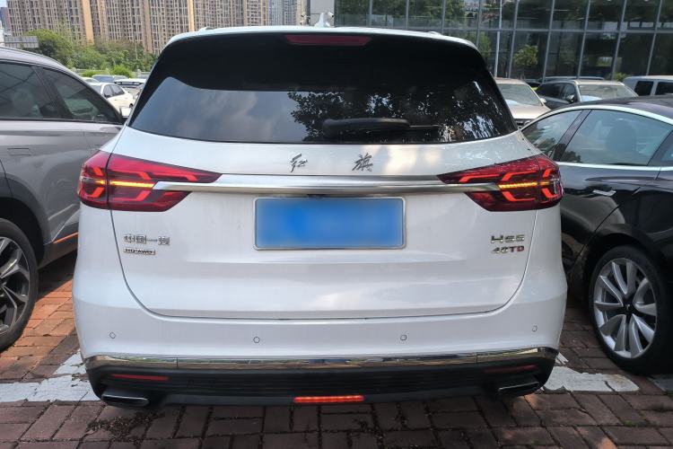 Used Hongqi HS5 2019 2.0T Smart Connect Flagship All-Wheel-Drive Version Rear