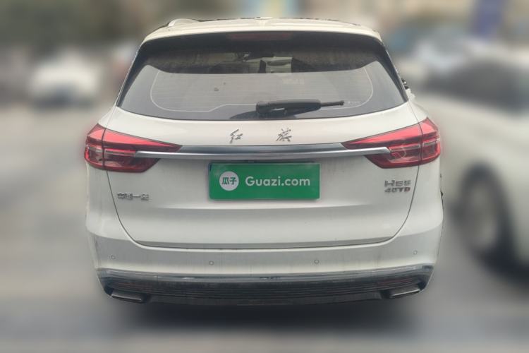 Used Hongqi HS5 2019 2.0T Smart Connect Flagship Edition Rear