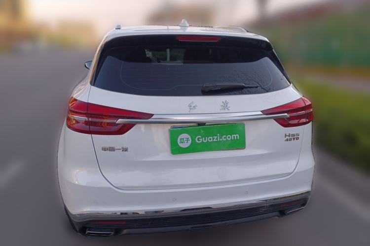 Used Hongqi HS5 2019 2.0T Smart Connect Flagship Edition Rear