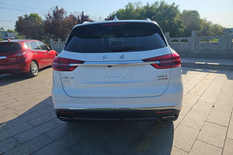 Used Hongqi HS5 2019 2.0T Smart Connect Flagship All-Wheel-Drive Version Rear