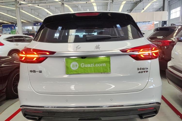 Used Hongqi HS5 2019 2.0T Smart Connect Flagship Edition Rear