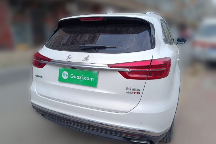 Used Hongqi HS5 2019 2.0T Smart Connect Flagship Edition Rear
