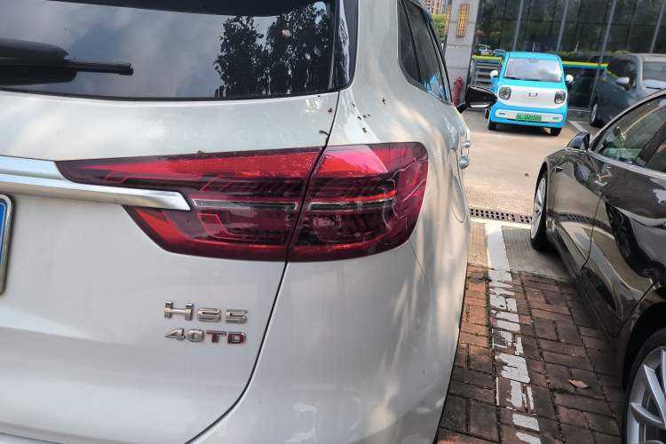 Used Hongqi HS5 2019 2.0T Smart Connect Flagship All-Wheel-Drive Version Right Rear Taillight