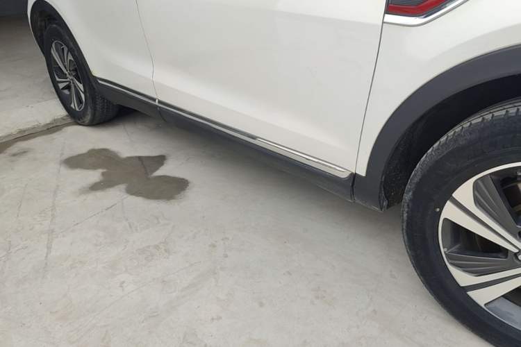 Used Hongqi HS5 2019 2.0T Smart Connect Flagship Edition Right Side Sill
