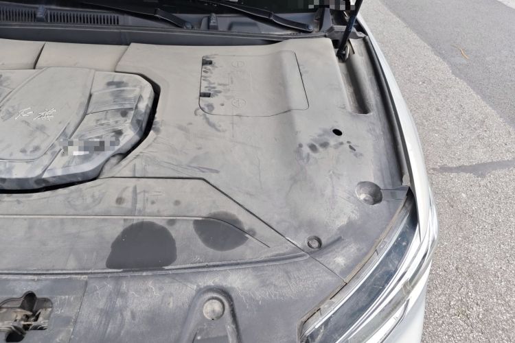 Used Hongqi HS5 2019 2.0T Smart Connect Flagship Edition Engine Bay Left