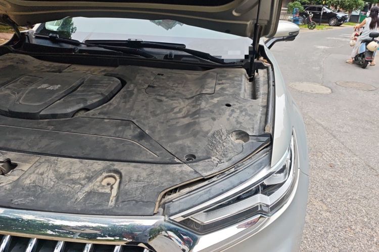 Used Hongqi HS5 2019 2.0T Smart Connect Flagship Edition Engine Bay Left