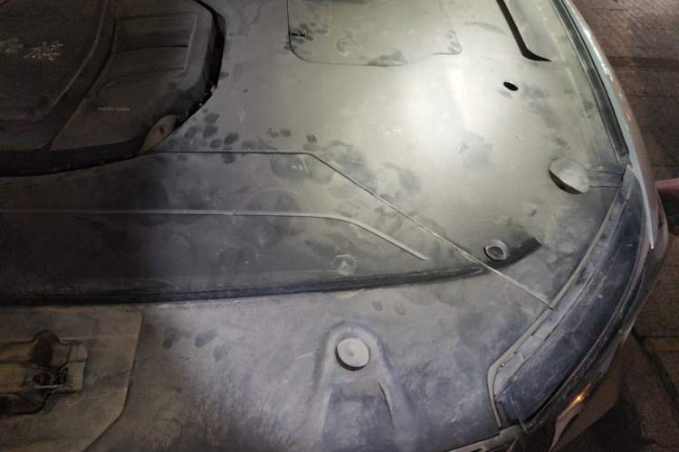 Used Hongqi HS5 2019 2.0T Smart Connect Flagship Edition Engine Bay Left