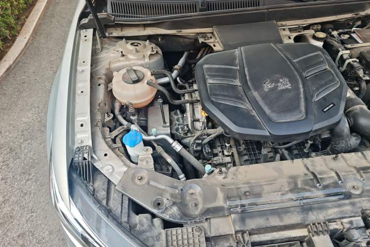 Used Hongqi HS5 2019 2.0T Smart Connect Flagship All-Wheel-Drive Version Engine Bay Right