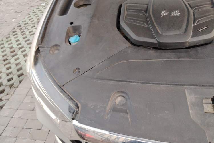 Used Hongqi HS5 2019 2.0T Smart Connect Flagship Edition Engine Bay Right