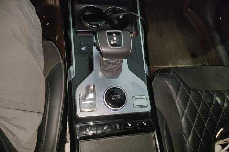 Used Hongqi HS5 2019 2.0T Smart Connect Flagship Edition Gear Lever