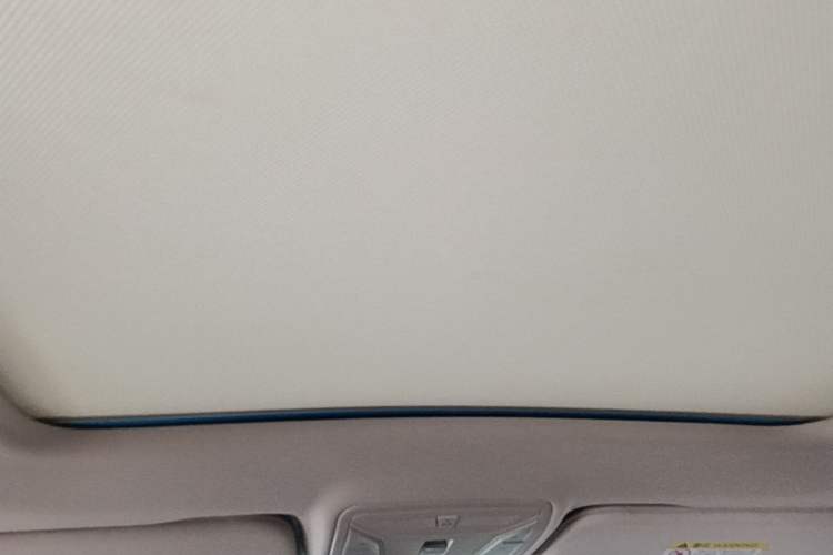 Used Hongqi HS5 2019 2.0T Smart Connect Flagship Edition Headliner