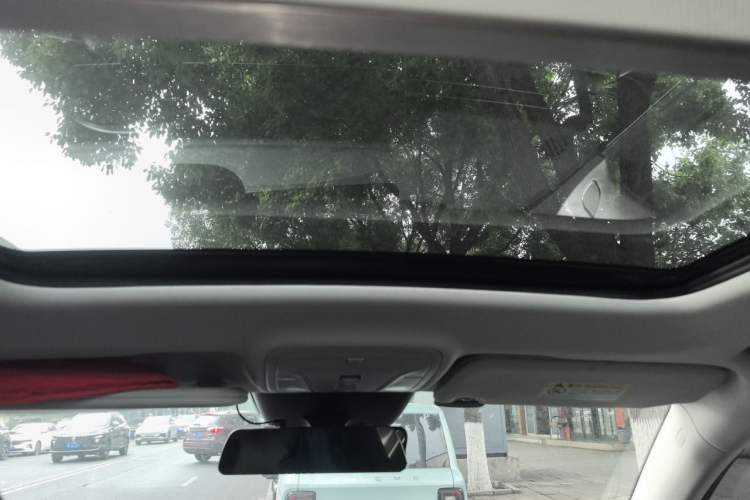 Used Hongqi HS5 2019 2.0T Smart Connect Flagship All-Wheel-Drive Version Headliner